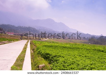 landscape of a road in the middle of rice fields with fog covering the mountains in Trawas, Mojokerto, Indonesia