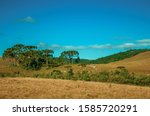 Landscape of rural lowlands called Pampas with trees and dry bushes over hills near Cambara do Sul. A small country town in southern Brazil with amazing natural tourist attractions. Retouched photo.