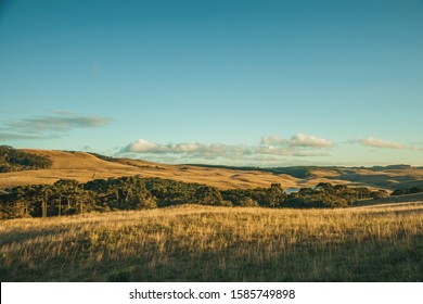 Landscape of rural lowlands called Pampas with groves and hills covered by dry bushes at sunset near Cambara do Sul. A small country town in southern Brazil with amazing natural tourist attractions. - Shutterstock ID 1585749898