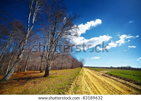 Similar – Image, Stock Photo An autumnal path with trees and light and shadow