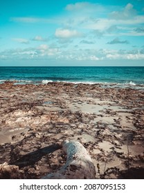 Landscape In Salento Beach And Sea