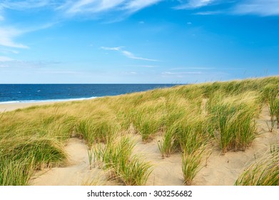 Cape Cod Sand Dune Images Stock Photos Vectors Shutterstock