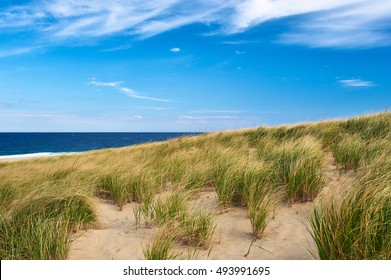 Landscape With Sand Dunes At Cape Cod, Massachusetts, USA. 