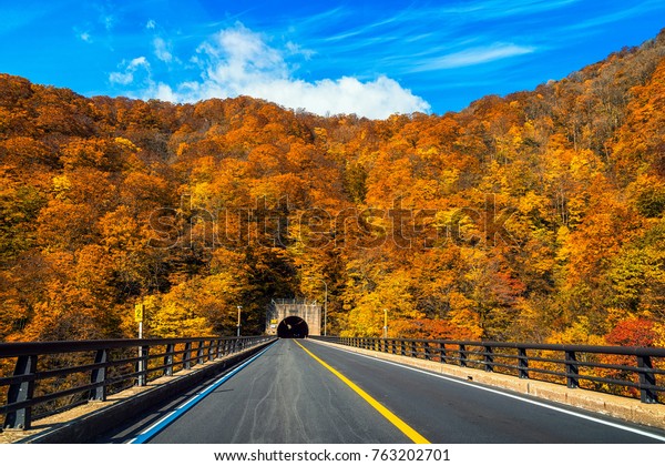 Landscape\
scene of Autumn season with car tunnel on the road in tohoku,\
japan, landscape and transportation\
concept
