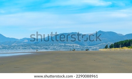 Landscape Scenery of Moturoa Rabbit Island Beach Nelson, South Island, New Zealand
