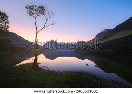 Landscape scenery of a tree and calm reflection at Buttermere Lake with Fleetwith Pike at sunset or sunrise in the Lake District, Cumbria, England.