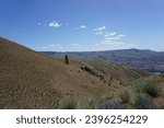 Landscape scenes from Eastern Washington State