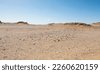 dry desert