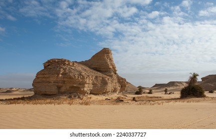 Landscape scenic view of desolate barren western desert in Egypt farafra oasis with rock formation on sand dunes and bushes - Shutterstock ID 2240337727