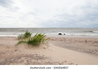 Landscape of seacoast with green grass on sandy Baltic Sea beach in Zvejniekciems, Latvia - Shutterstock ID 1042064857