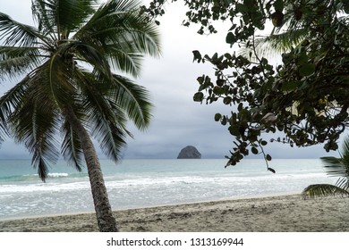 Imágenes Fotos De Stock Y Vectores Sobre Plage Diamant