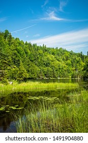 Landscape of a secluded lake sedge meadow grass surrounded by lush green Boreal forest in summer on the Talus lake Trail hike in Sleeping Giant Provincial Park, Ontario, Canada