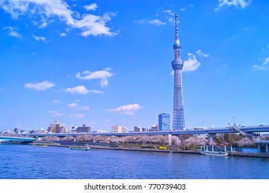 Landscape seen from the embankment of the Sumida River in Asakusa Spring