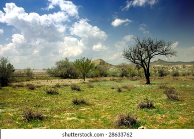 Landscape From A Semi Arid Climate