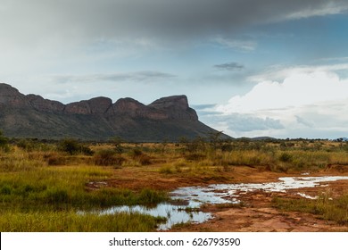 Landscape Shot Of African Safari 