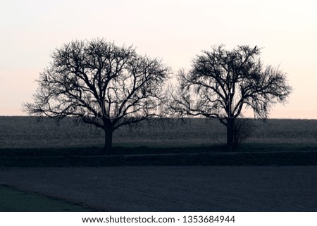 behind tree gate right