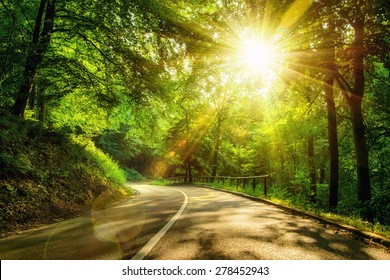 Landscape shot with the gold sun rays illumining a scenic road in a beautiful green forest, with light effects and shadows - Powered by Shutterstock