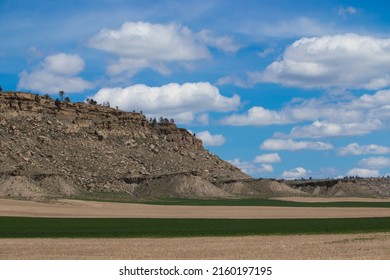 A Landscape Shot Of A Green And Yellow Field In Front Of The Rimrock Sandstone Formations Outside Of Billings, Montana. 