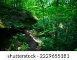 Landscape shot of Hemlock Cliffs near Hoosier National Forest during spring. This box canyon in southern Indiana is a very special and unique place. Perfect example of a vacation experience.