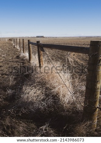 Landscape shot of the high desert plains. A barbwire fence runs across the frame, collecting tumbleweeds as they blow in.