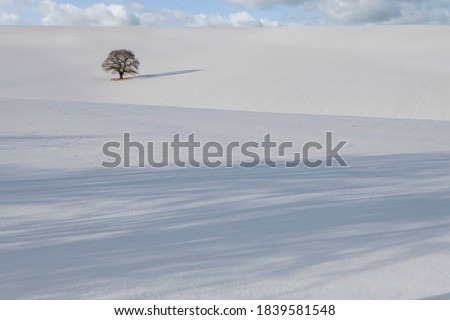 Similar – Image, Stock Photo Cool colours Environment