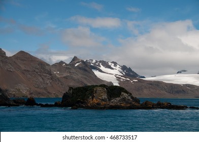 323 Prion island antarctica Images, Stock Photos & Vectors | Shutterstock