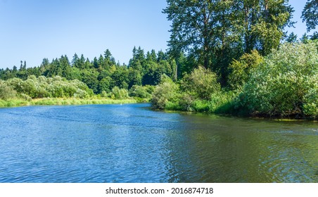 A Landscape Shot Of The Sammamish River In Washiington State.