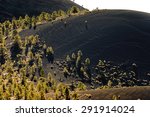 Landscape Shot at Sunset Crater National Monument