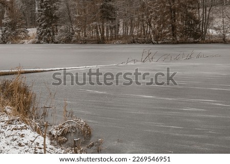 Landscape shot, tree lying in frozen lake