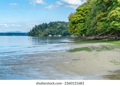 A landscape shot of trees along the shore at Dash Point State Park in Washington State.