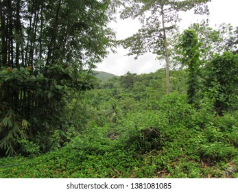 Landscape Shots Of Buruanga, Aklan, Philippines