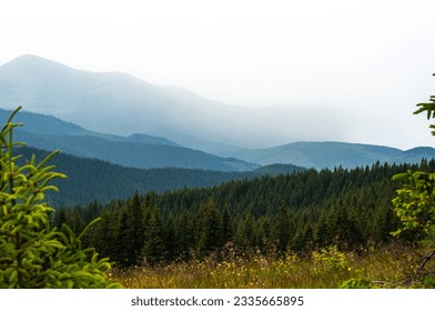 landscape the sky before a thunderstorm, clouds in the mountains before the rain, a cloud is approaching, fog, above the clouds, wallpaper, poster, cover, nature of the Carpathian mountains, green