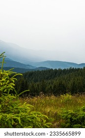landscape the sky before a thunderstorm, clouds in the mountains before the rain, a cloud is approaching, fog, above the clouds, wallpaper, poster, cover, nature of the Carpathian mountains, green