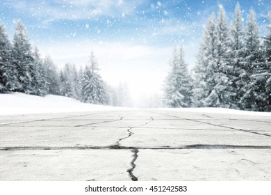 Landscape Of Sky And Trees Of Snow And Road Snow And Sun 