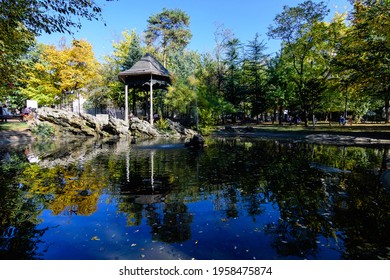 Landscape with the small lake and green and yellow trees in Ion Voicu Park, also known as Ioanid Park, in Bucharest, Romania, in a sunny autumn day