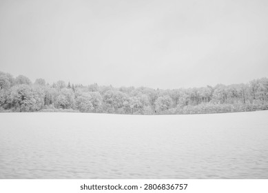 landscape of snow and trees in the background