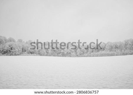 landscape of snow and trees in the background