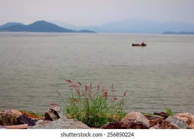 Landscape. South China Sea