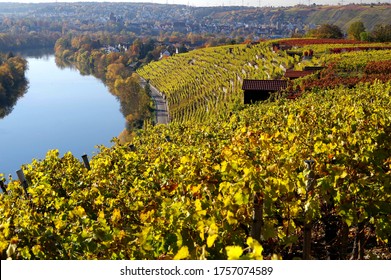 Landscape In Southern Germany In Great Autumn Colors With River And Vineyard,