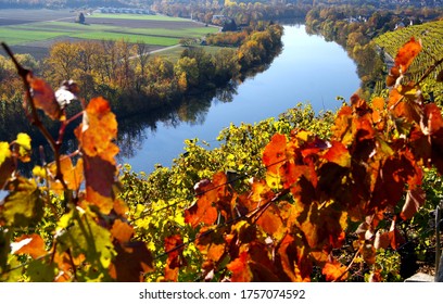 Landscape In Southern Germany In Great Autumn Colors With River And Vineyard,