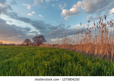 Landscape in spring