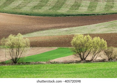 Landscape in spring