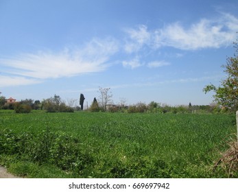 Landscape spring 