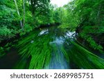 Landscape in spring in "As Ínsuas do Miño" in the area of ​​Rábade in the Lugo region. Minho River. Province of Lugo. Galicia. Spain. Europe