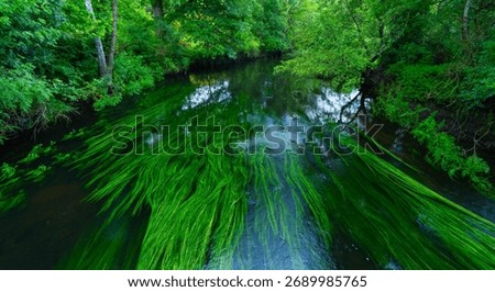 Landscape in spring in "As Ínsuas do Miño" in the area of ​​Rábade in the Lugo region. Minho River. Province of Lugo. Galicia. Spain. Europe