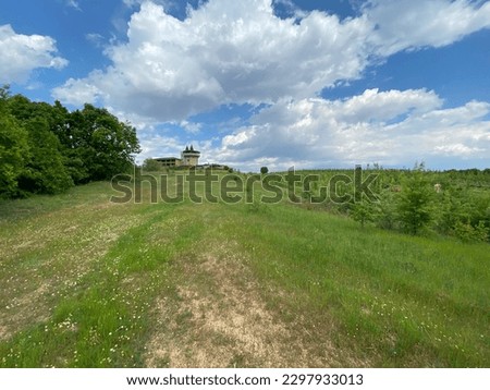 Landscape spring summer meadow tree wildflowers wooden house in the background wine yard trail lillies daisies cloudy bright blue sky
