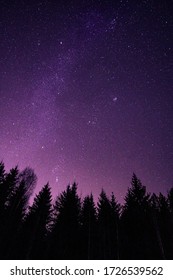 Landscape Of The Starry Sky On Which The Milky Way Is Visible. Night Sky With Stars, In The Foreground Silhouettes Of Conifers And Red City Lights.