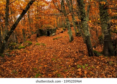 Cabin Fall Images Stock Photos Vectors Shutterstock