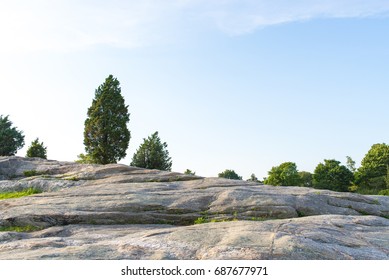 Landscape from Stone Mountain and tree