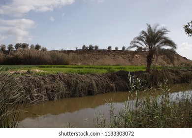 A landscape with stream